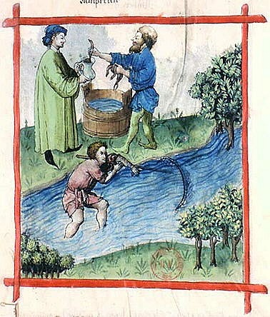 Tacuinum Sanitatis, 15ος αιώνας